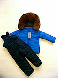 Зимовий костюм (куртка та напівкомбінезон, фото 2