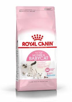 Сухий корм Royal Canin Mother & Babycat (Роял Канін Мазер & Бебикет) 10 кг для кошенят, вагітних кішок