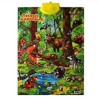 Плакат Лесные животные, обуч, стихи, загадки, звуки животн, на бат-ке, в кульке, 42-58-2 см