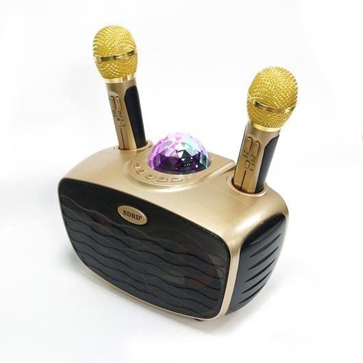 Караоке система SDRD SD-315 з двома мікрофонами 20Ват., фото 1