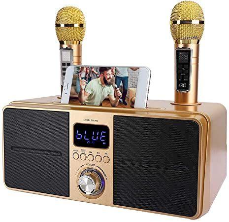 Портативна Караоке система з двома мікрофонами 30Ват. SDRD SD-309 золото, фото 1