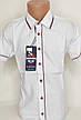 Сорочка дитяча з коротким рукавом Sinyor Besni dk-0014 біла приталені однотонна Туреччина для хлопчиків 11, фото 7