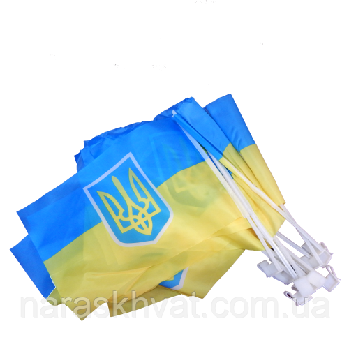 Прапор України автомобільний 30*20 см