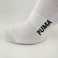 Короткі чоловічі спортивні шкарпетки з сіточкою білого кольору, фото 2