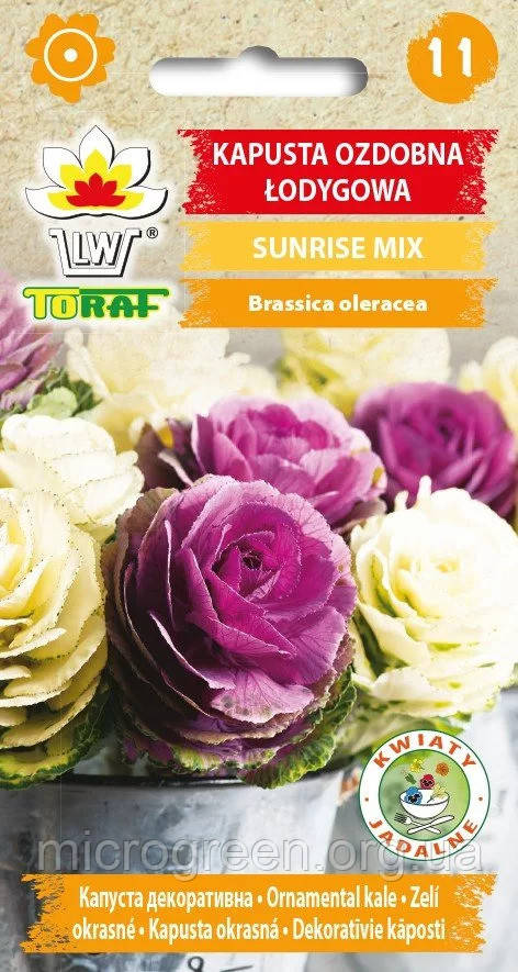 Насіння Капуста декоративне SUNRISE мікс 0.5г