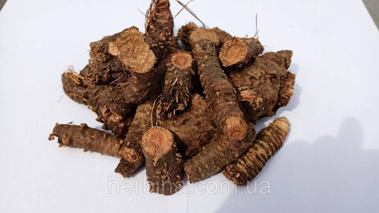 Родіола рожева корінь (золотий корінь), 500 г
