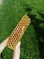 Стільниковий мед (100грам)