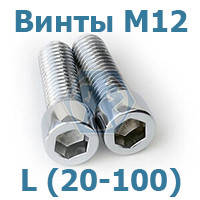 Гвинти М12 DIN 912 8.8