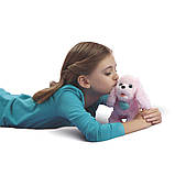 Інтерактивна іграшка Hasbro FurReal Friends Цуценя пуделя PomPom Walkin Puppies Pretty Poodle Plush Toy, фото 4