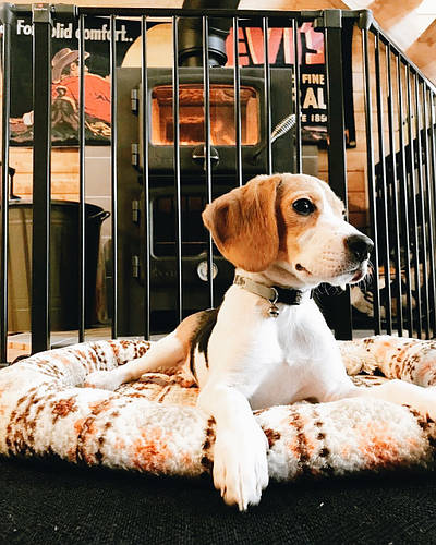 Огорожі BABYDAN - це надійність, безпека, комфорт.