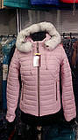 Женская короткая зимняя куртка с капюшоном на синтепоне Модель Д3, фото 4