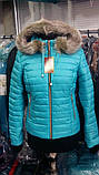 Женская короткая зимняя куртка с капюшоном на синтепоне Модель Д3, фото 6
