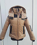 Жіноча зимове стьобана коротка куртка з капюшоном на силіконі модель 29 різні кольори, фото 3