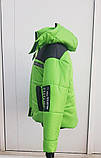 Женская зимняя стеганая короткая куртка с капюшоном на силиконе модель 29 цвет зеленый, фото 2