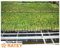 Тепла підлога RATEY нагрівальна інфрачервона плівка електрична під ковролін, ламінат SH 0,8 м (180 Вт/м)