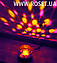 Диско-Сфера Led Crystal Magic Ball Light, фото 6