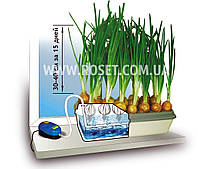 Гидропонная домашняя установка для выращивания зеленого лука - Луковое Счастье