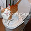 Набір для привчання кішок до унітазу - CitiKitty Cat Toilet Training kit, фото 5