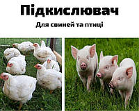 Подкислитель (для свиней и птиц, продажа от 1 кг)