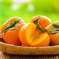 Саджанці хурми Брейсе-2 (Однорічна) - привита, дводомна, морозостійка, середній