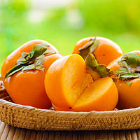 Саджанці хурми Брейсе-2 - дводомна, морозостійка, середній С1