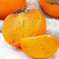 Саджанці хурми Хіакуме (однорічна) - привита, середня, самоплідна, солодка