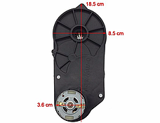 Редуктор дитячого електромобіля o-mybaby з мотором 550 класу 12 V 15000 RPM, фото 3