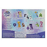 Поні друзі вихованці 12 шт My Little Pony Pony Pet Friends 12 Pack, фото 3