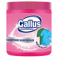 Засіб для видалення плям для кольорових речей Gallus Fleckentferner Sauerstoffpulver Pulver 600 г