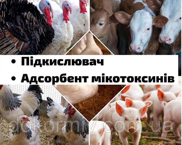 Адсорбент мікотоксинів (продаж від 1 кг), фото 2