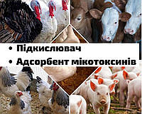 АДСОРБЕНТ микотоксинов (продажа от 1 кг)