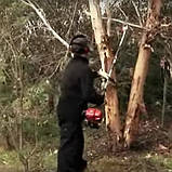 Насадка- Гілкоріз Honda SSPP E, фото 3