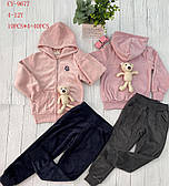 Дитячі велюрові костюми для дівчаток оптом FD 4-12 років