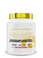 Scitec Nutrition Collagen Xpress 475g