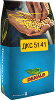 Насіння кукурудзи ДКС 5141 (Dekalb) ФАО - 430, фото 3