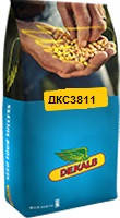 Насіння кукурудзи ДКС 3811 (Dekalb) ФАО - 320, фото 3