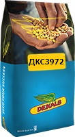 Насіння кукурудзи ДКС3972 H&D Max Yield (Dekalb) ФАО - 300, фото 3