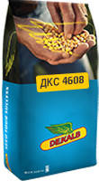 Насіння кукурудзи ДКС4608 Max Yield (Dekalb) ФАО - 380, фото 3