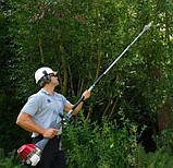 Насадка- Гілкоріз Honda SSPP E, фото 2