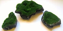 Набір каменів Aquatic Plants для нано акваріумів, 3 шт