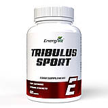 Підвищення тестостерону EnergiVit Tribulus SPORT 60 таблеток EXP 11/25 року включно, фото 4