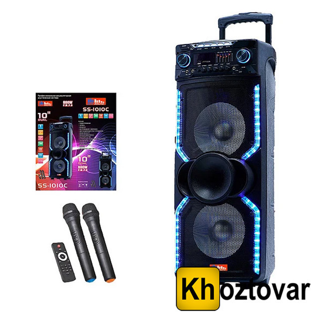 Акустична колонка з мікрофонами 10" SS-1010C SkySound | 600 Вт