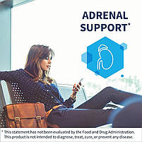 Klaire Adrenal Support Підтримка надниркових залоз (Adrenal Support Formula) 90 капсул, фото 3