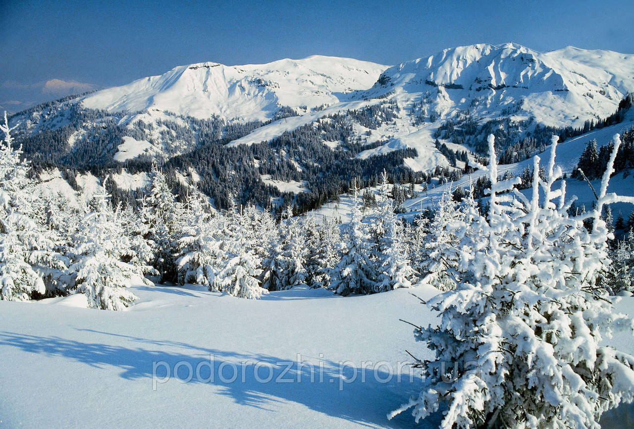 Зимовий тур вихідного дня в Закарпаття - фото 2 - id-p221100069