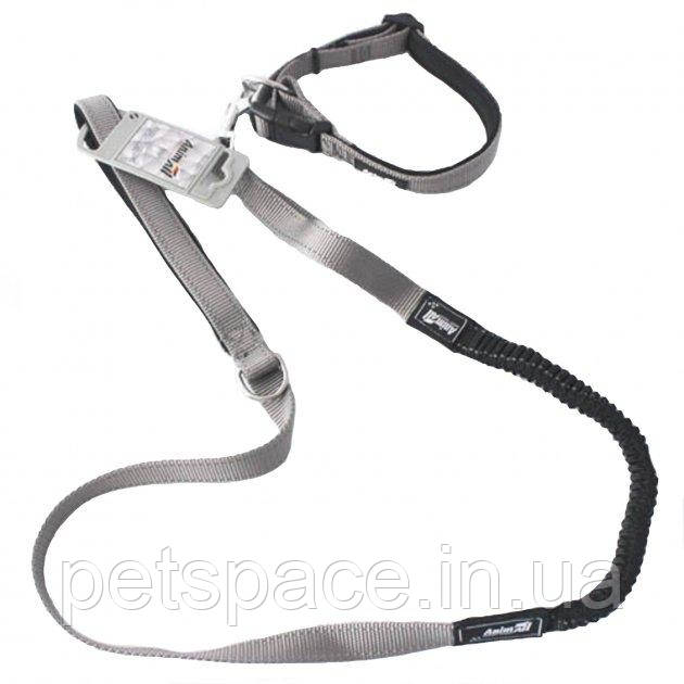 Поводок-нашийник AnimAll HL-HL 148 (сірий, 20/1200мм)