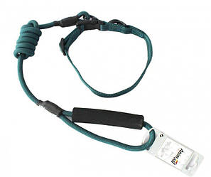 Поводок-нашийник AnimAll HJ-Y304-LС (зелений, 10/1200/15мм)