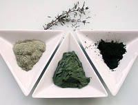 Морські екстракти