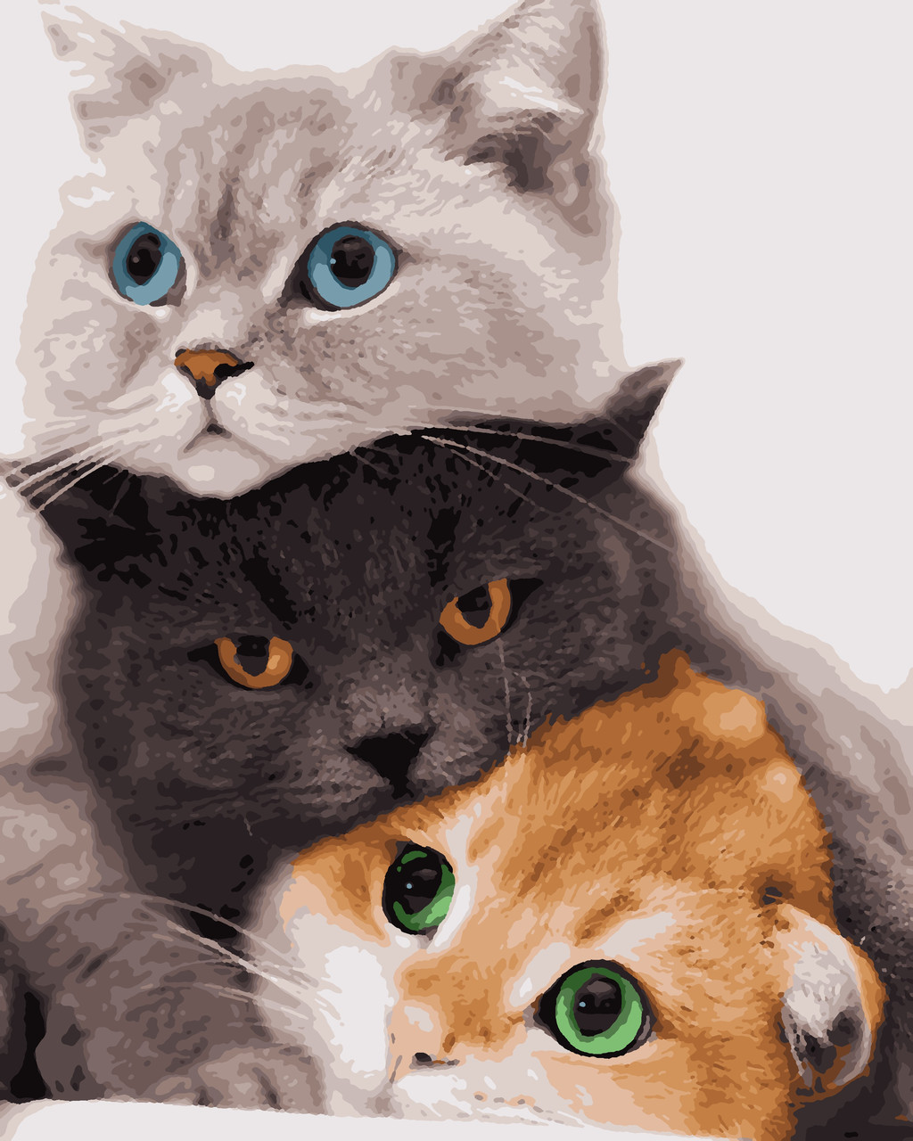 Картини за номерами "Три коти" 50*60 см