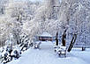 Зимовий тур вихідного дня в Закарпаття, фото 7