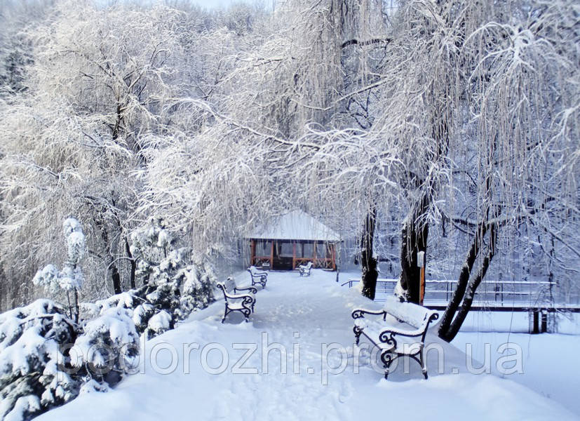Зимовий тур вихідного дня в Закарпаття - фото 7 - id-p221100069